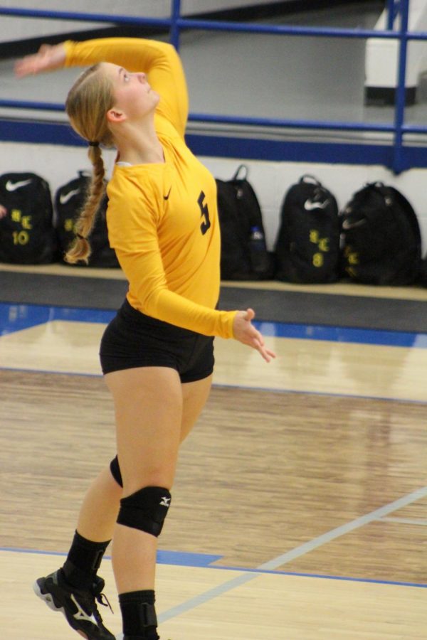 Christa Niemeyer serves the ball during the bi-district game with Mart. 