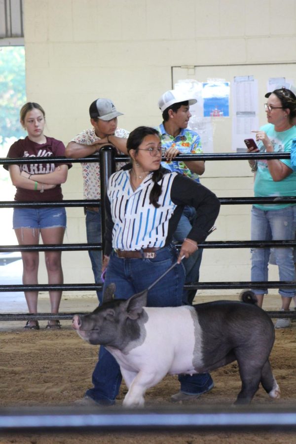 Students compete at County Fair