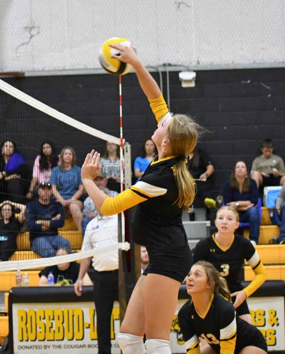 Volleyball competes at home